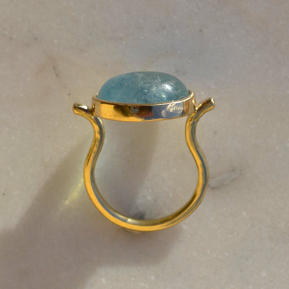Omega Ring